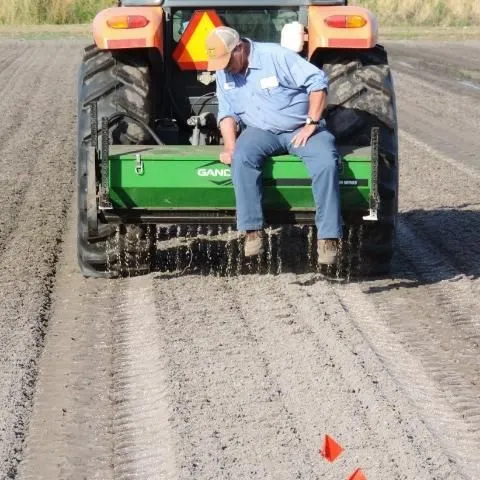 thumbnail for publication: Implementation of Anaerobic Soil Disinfestation in Florida Tomato Production